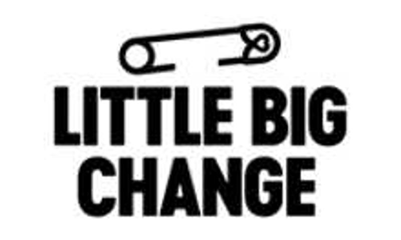 Little Big Change Code Promo
