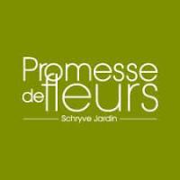 50% De REMISE Sur Les Narcisses En Promotions Chez Promesse De Fleurs